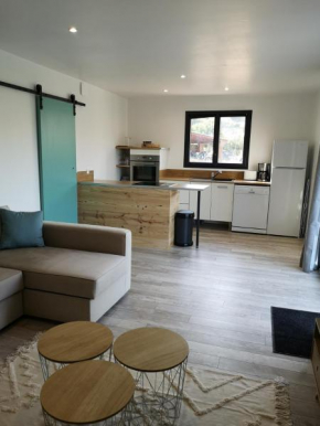 T2 bas de villa avec jardin